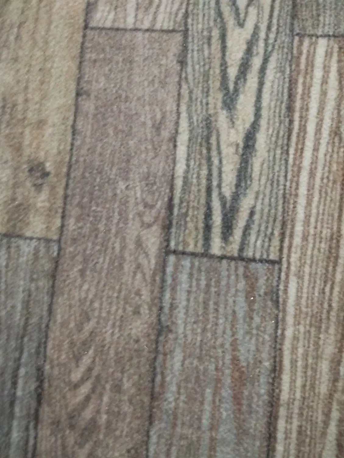 مسافر|فعالیت داوطلبانه تحقیقاتی|بندرعباس, |دیوار