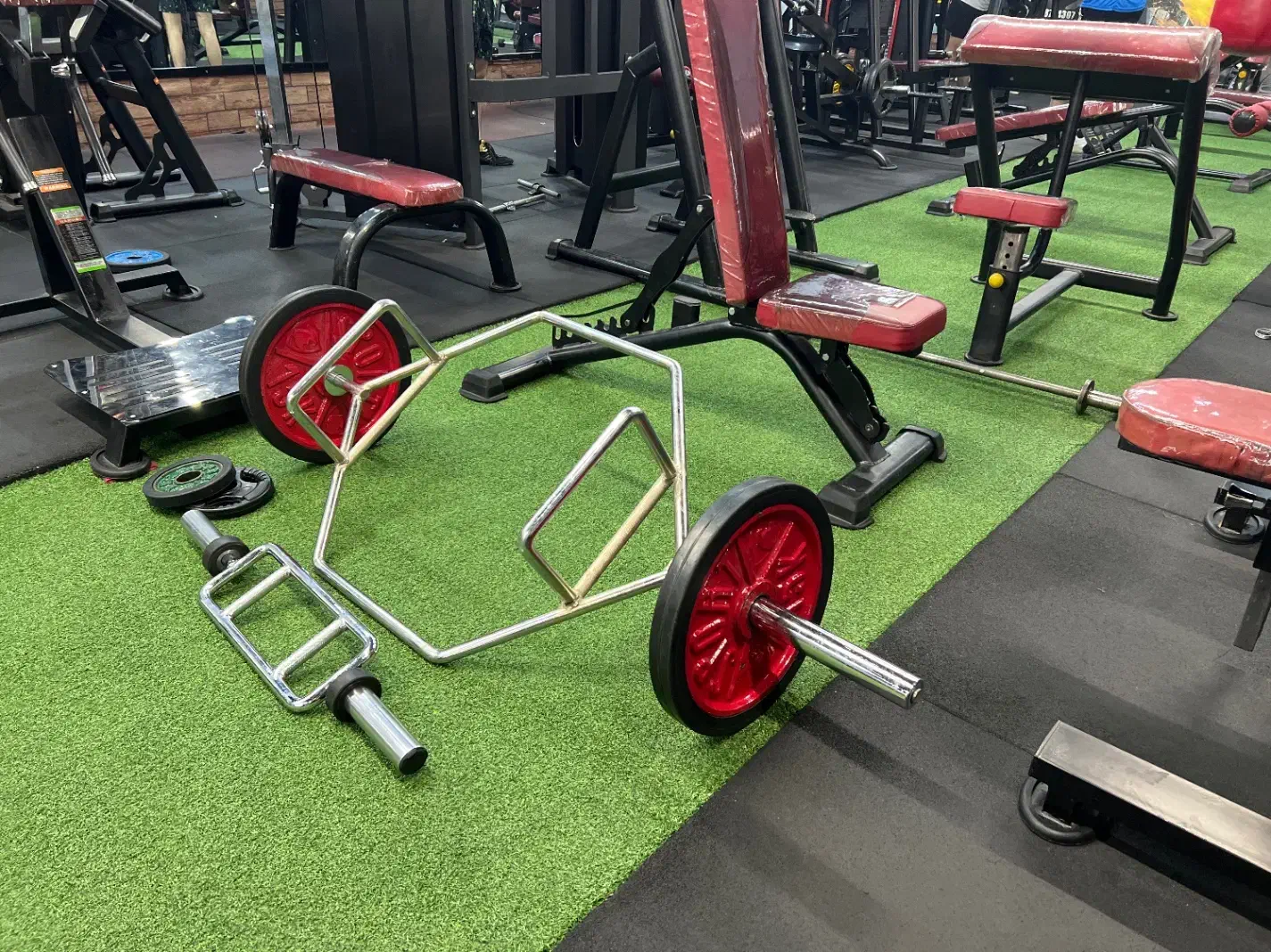 صفحه و دمبل بدنسازی|تجهیزات ورزشی|عجب شیر, |دیوار