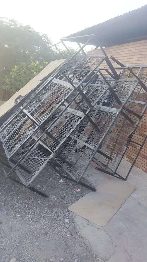 تخت فلزی|تخت و سرویس خواب|مسجد سلیمان, |دیوار