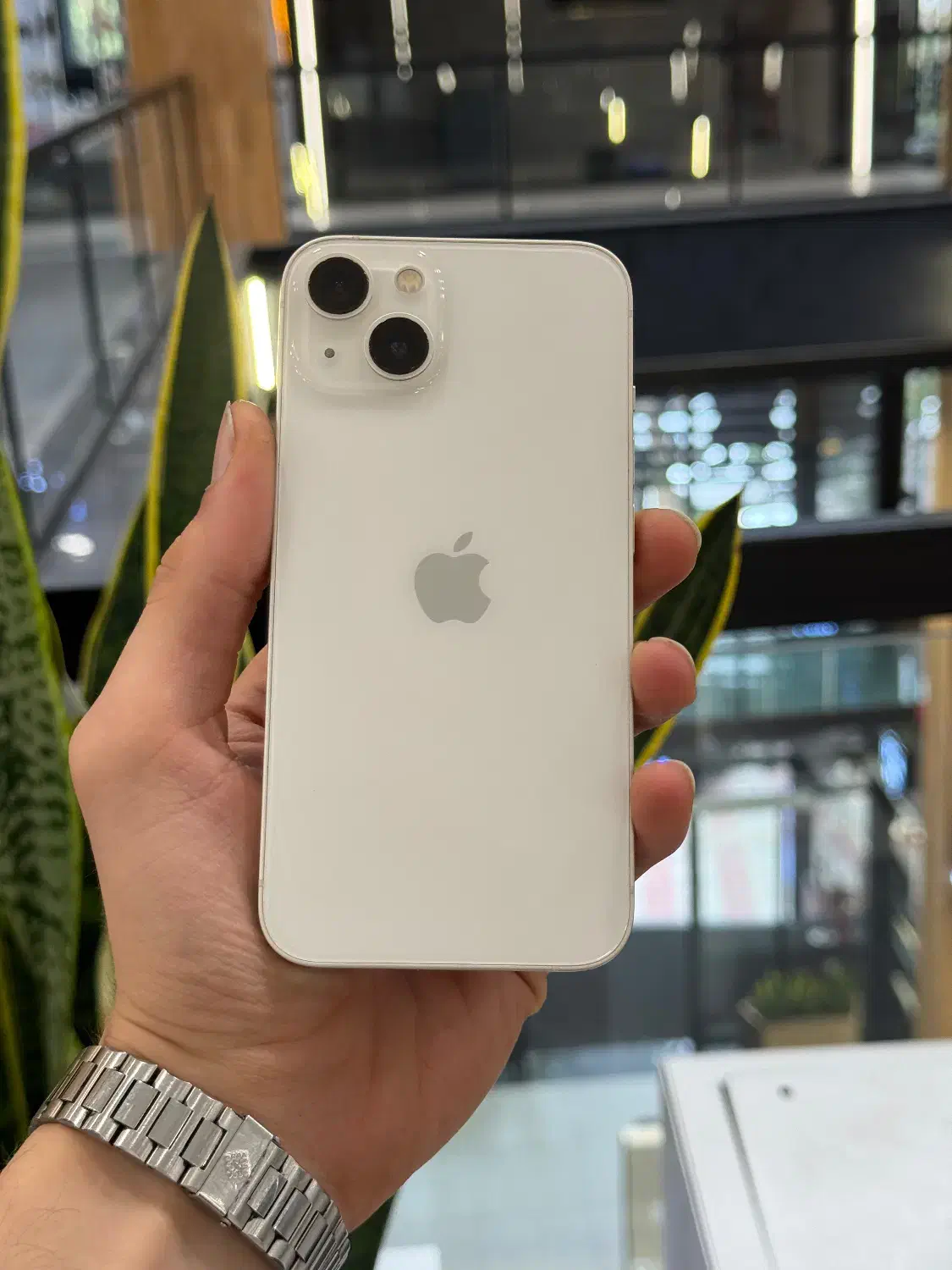 آیفون ۱۳ نرمال|موبایل|رشت, چله خانه|دیوار