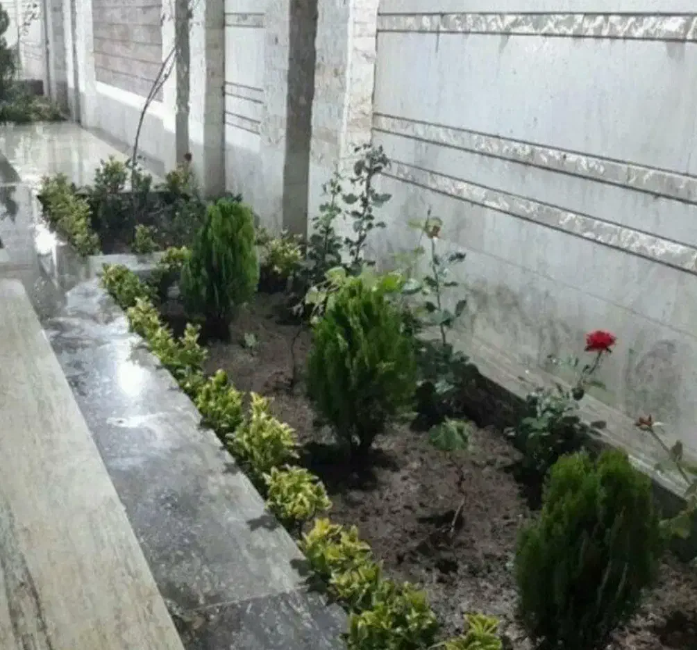 باغبان شهر|خدمات باغبانی و درختکاری|چابهار, |دیوار