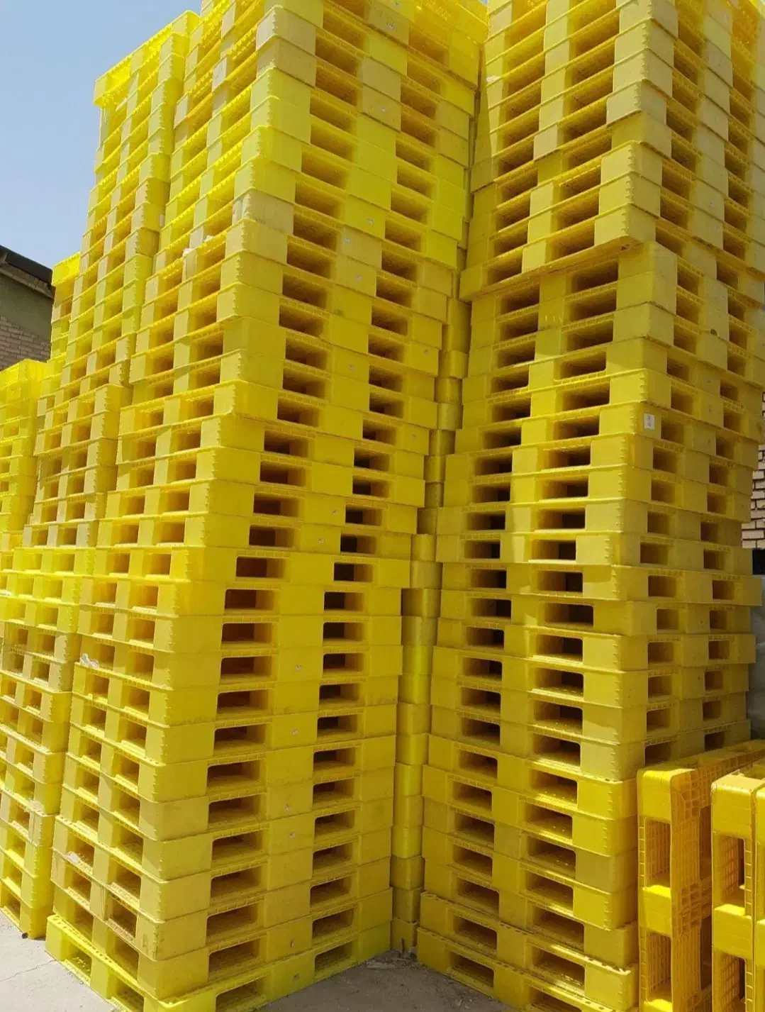 خرید و فروش پالت پلاستیکی|عمده‌فروشی|شیرگاه, |دیوار