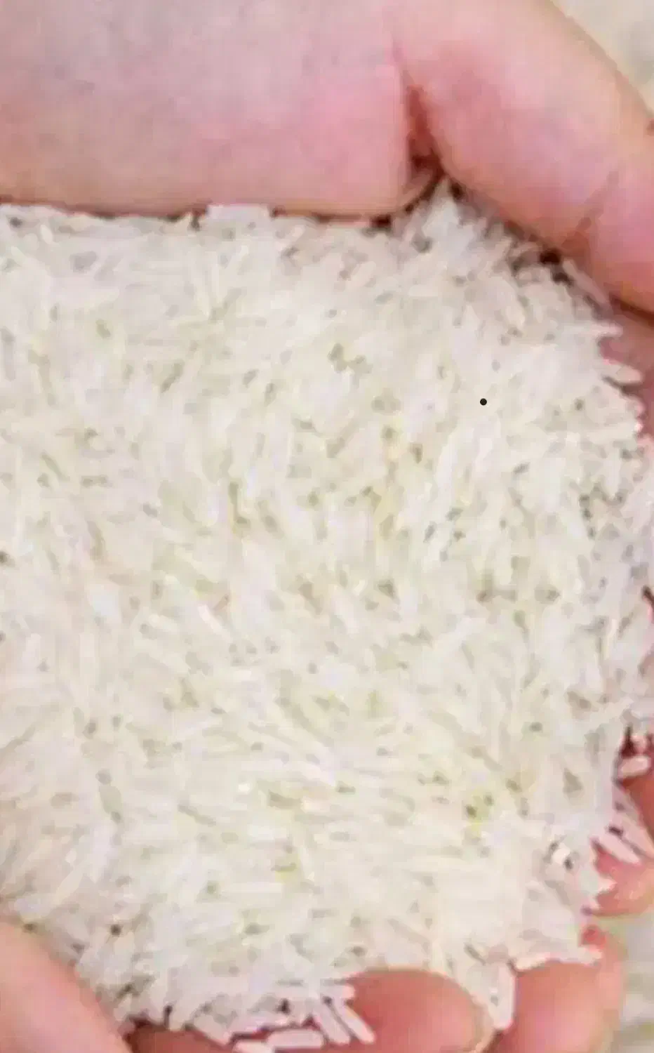 چلتوک خشک شده|خوردنی و آشامیدنی|کرخه, |دیوار