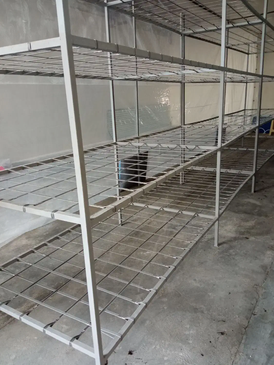 تجهیزات سالن پرورش قارچ|فروشگاه و مغازه|قرچک, قشلاق جیتو|دیوار