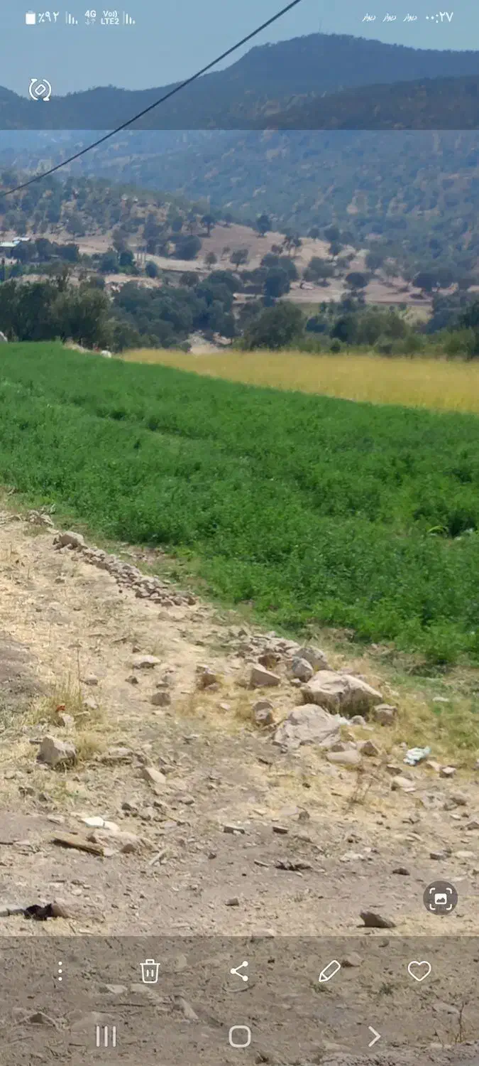 اجاره زمین کشاورزی|اجارهٔ دفتر صنعتی، کشاورزی، تجاری|کوهدشت, |دیوار