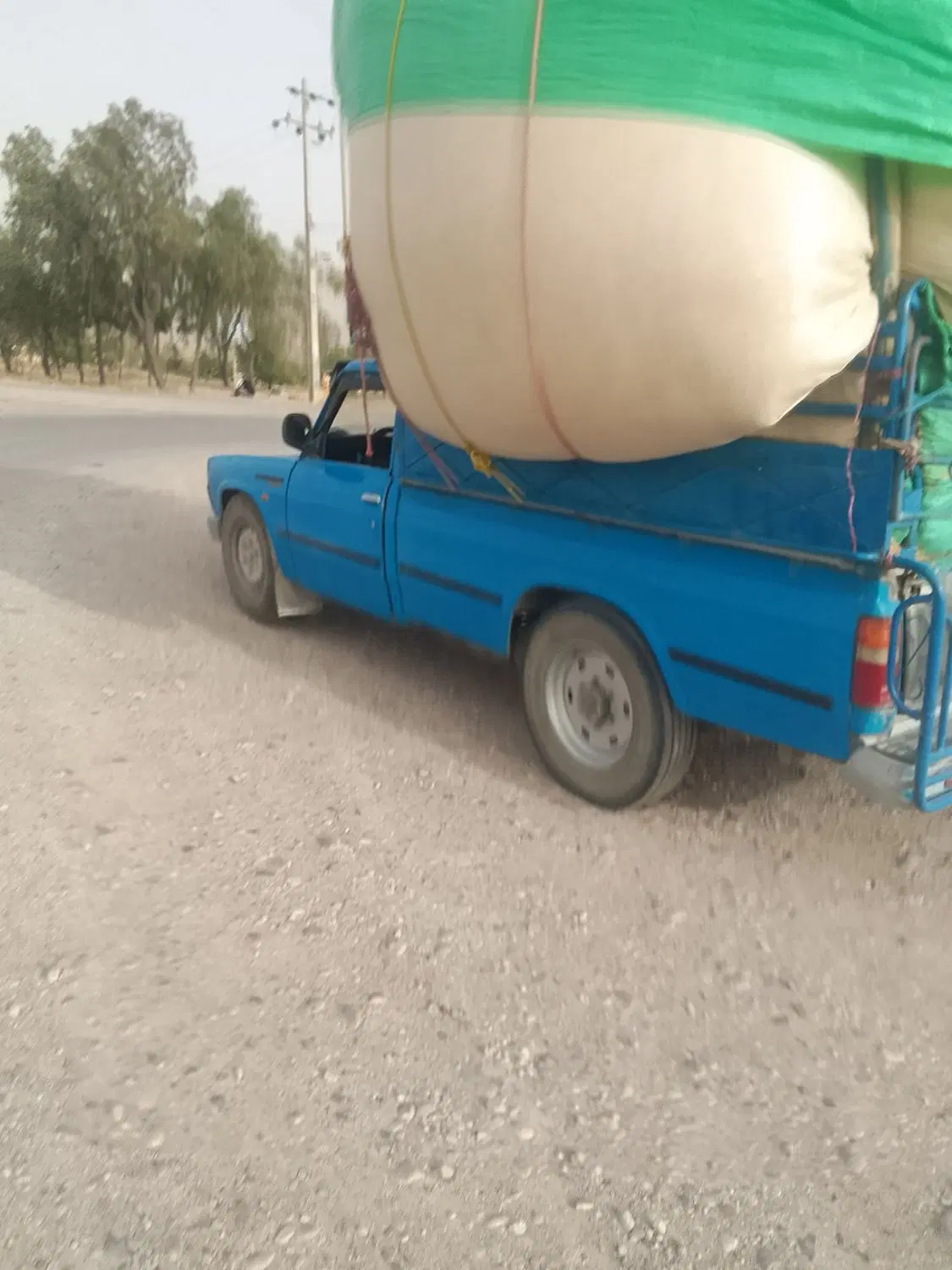 کاه نرم|لوازم جانبی حیوانات|سروستان, |دیوار
