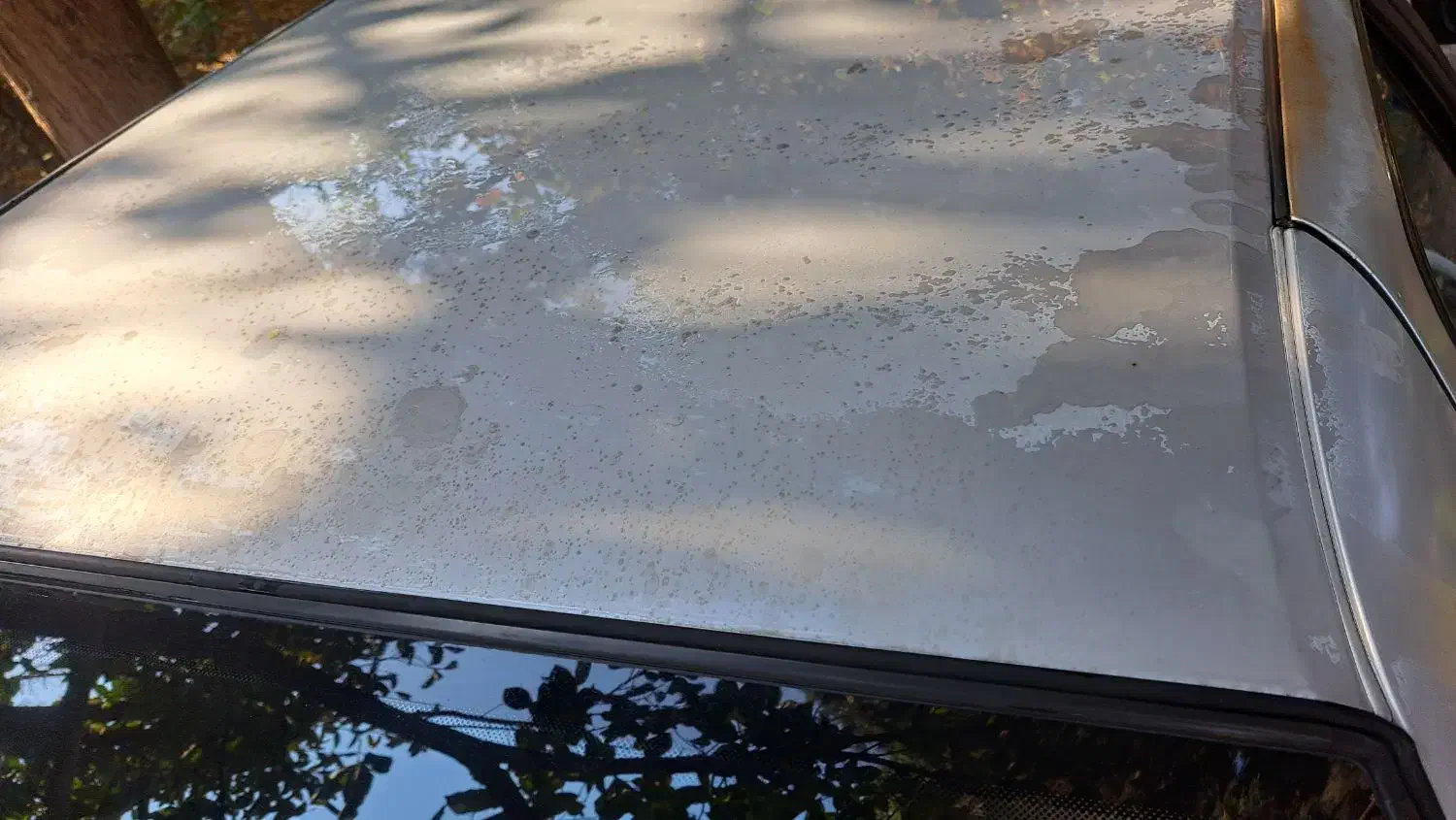 پژو روآ دوگانه سوز|خودرو سواری و وانت|تهران, شهرک گلها (تهرانسر)|دیوار