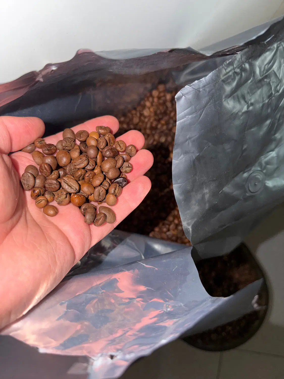 قهوه عدن(Aden)ارائه دهنده انواع قهوه بصورت تخصصی|خوردنی و آشامیدنی|تهران, بازار|دیوار