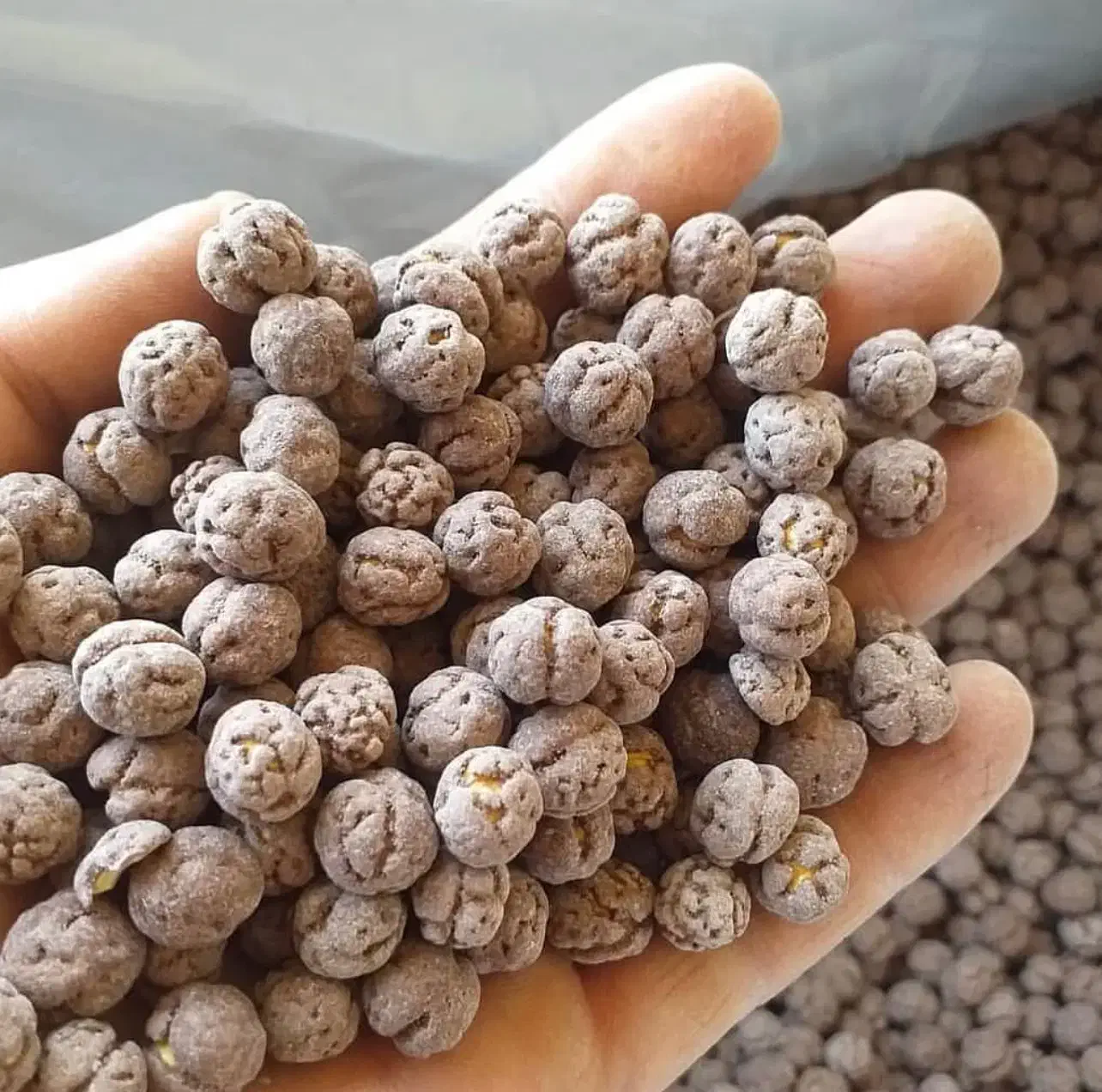 نخودچی گل|خوردنی و آشامیدنی|ممقان, |دیوار