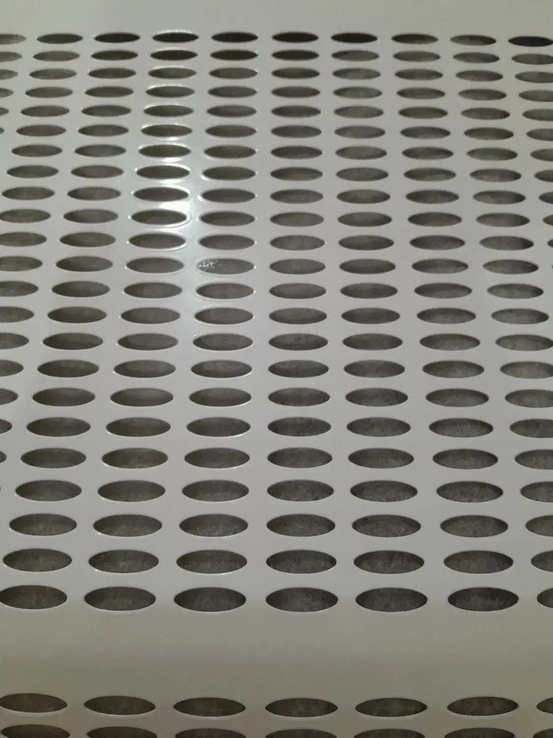 هود|هود|تربتحیدریه, بازار|دیوار