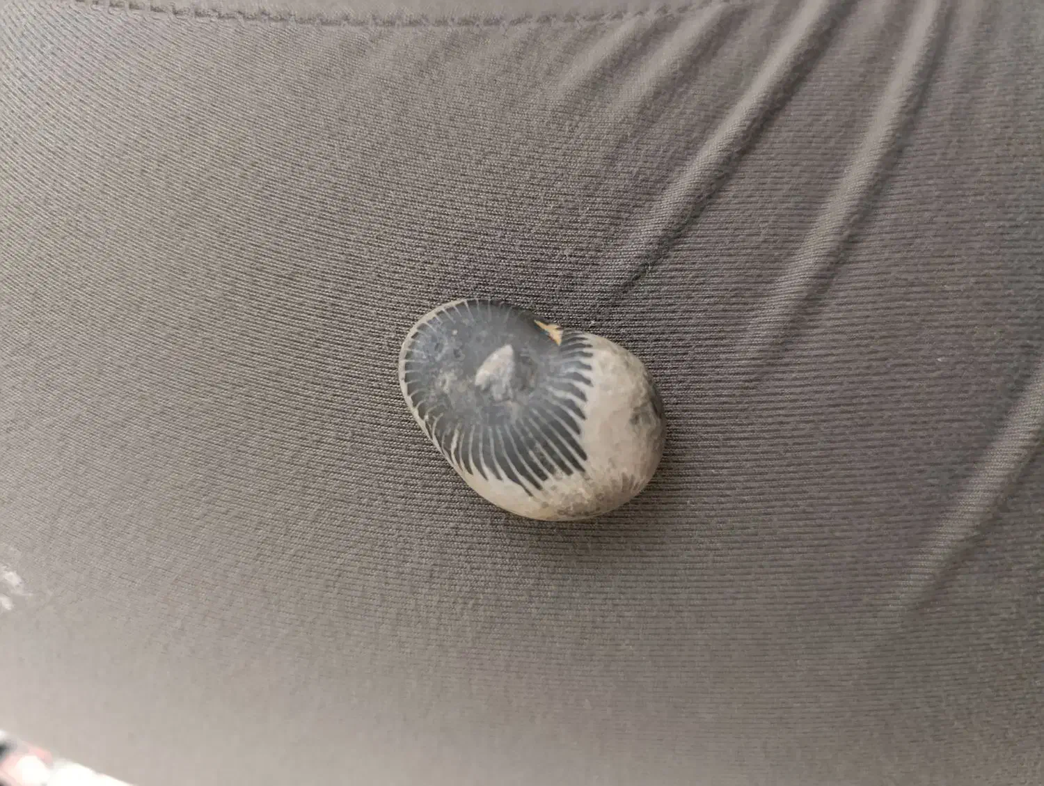 سنگ فوق خاص، شهاب سنگ ، عقیق اصل|کلکسیون اشیاء عتیقه|گرگان, |دیوار