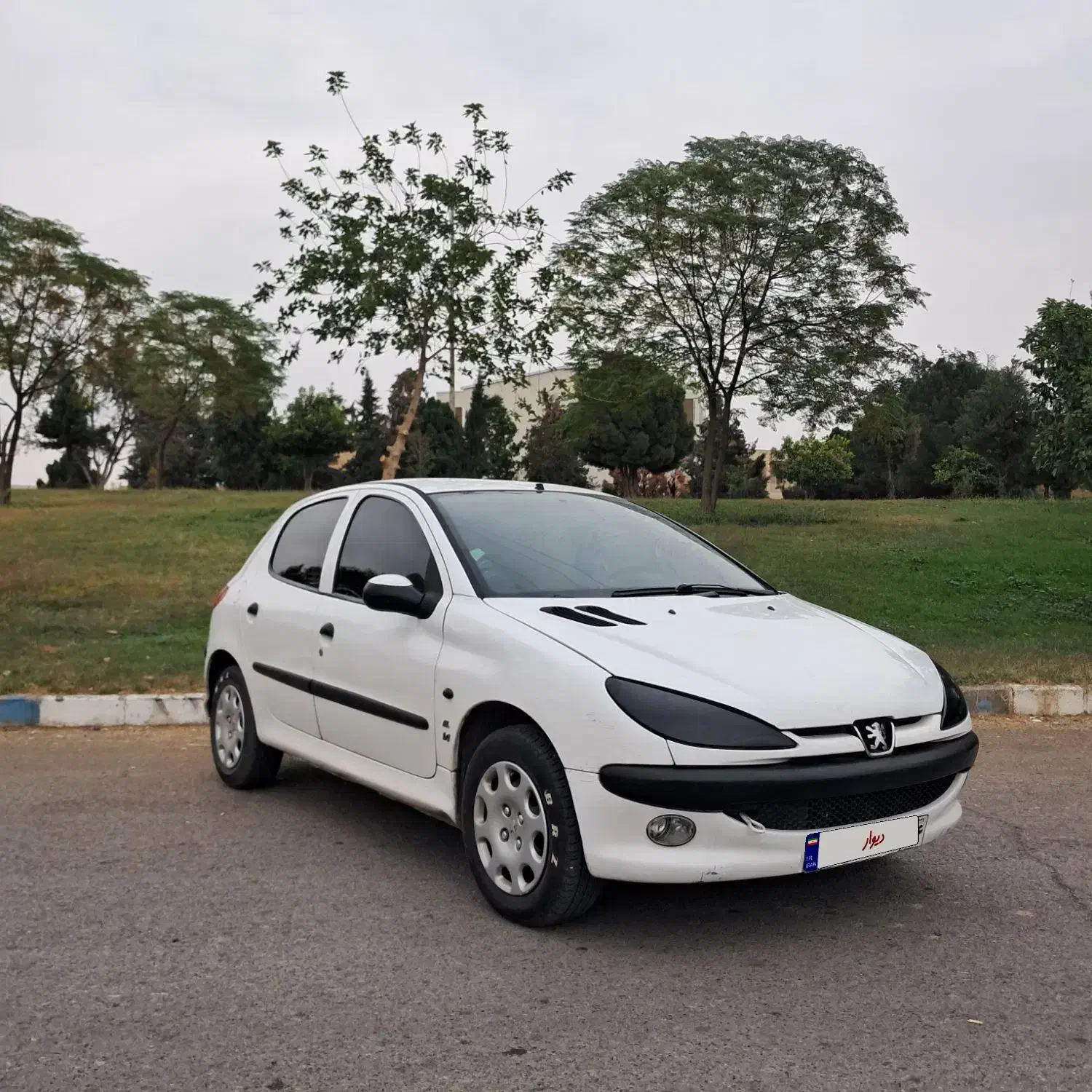 ۲۰۶ تیپ دو خانگی|خودرو سواری و وانت|دره شهر, |دیوار