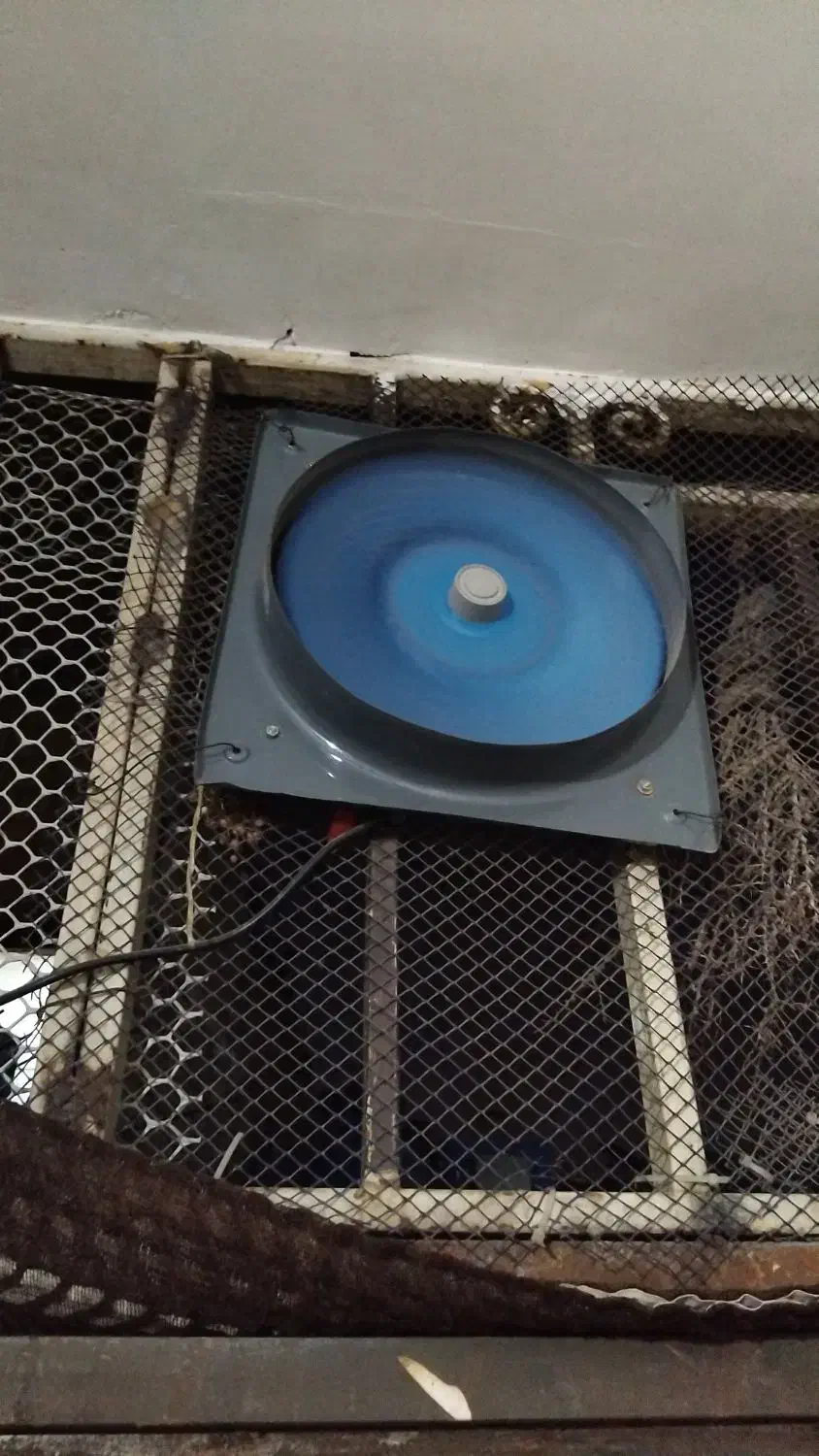 هوا کش|پنکه و تصفیه‌کنندهٔ هوا|گلستان (تهران), |دیوار