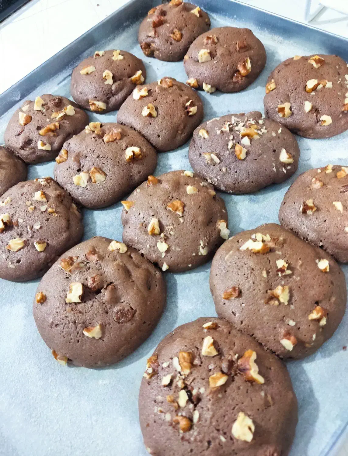 فروش کوکی لاهیجان جهت همکاری با مغازه ها|خوردنی و آشامیدنی|رشت, بازار|دیوار