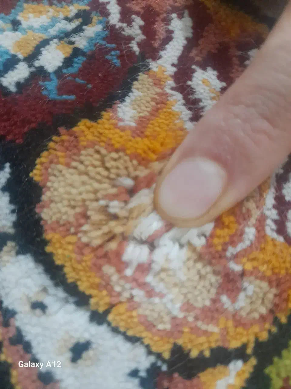 فرش ۱۲|فرش|زاهدان, |دیوار