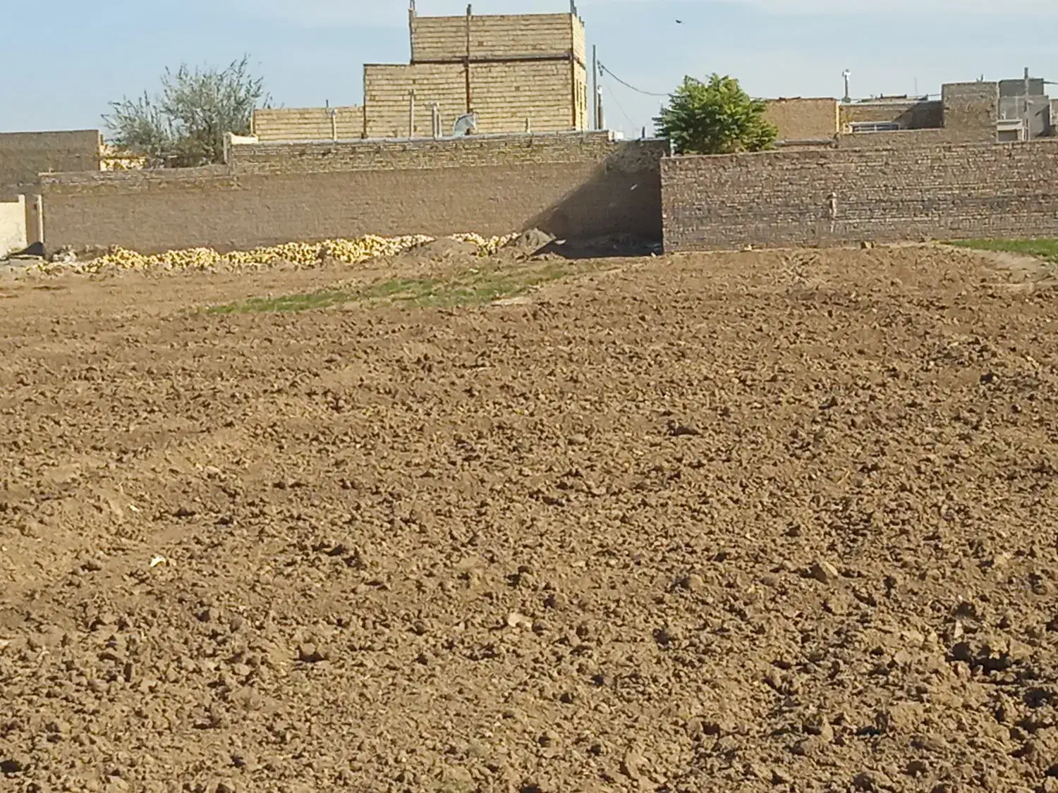 زمین فروشی|فروش زمین و ملک کلنگی|کاشمر, |دیوار