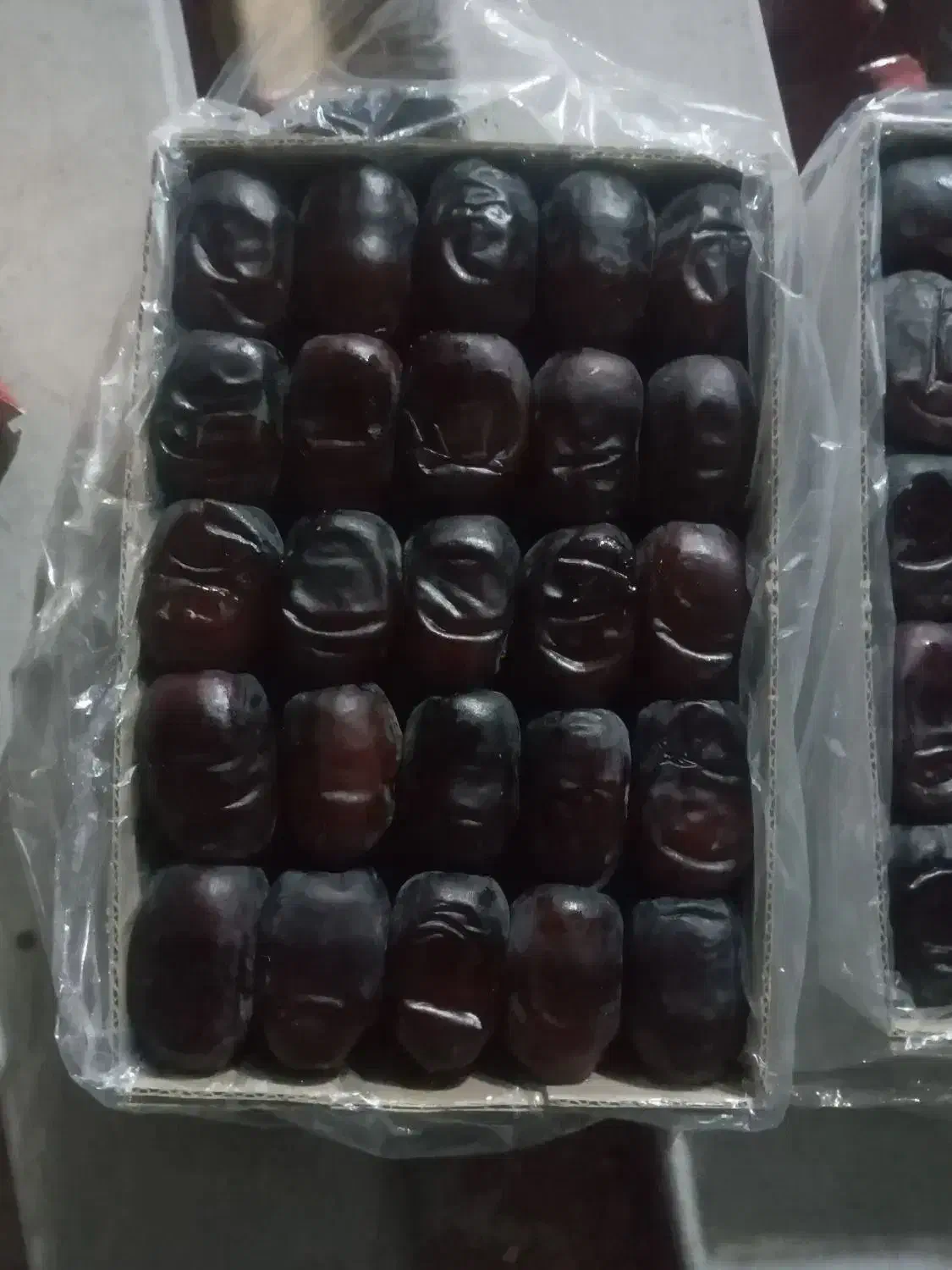 خرمای مضافتی بلوچستان|خوردنی و آشامیدنی|تهران, شهرآرا|دیوار