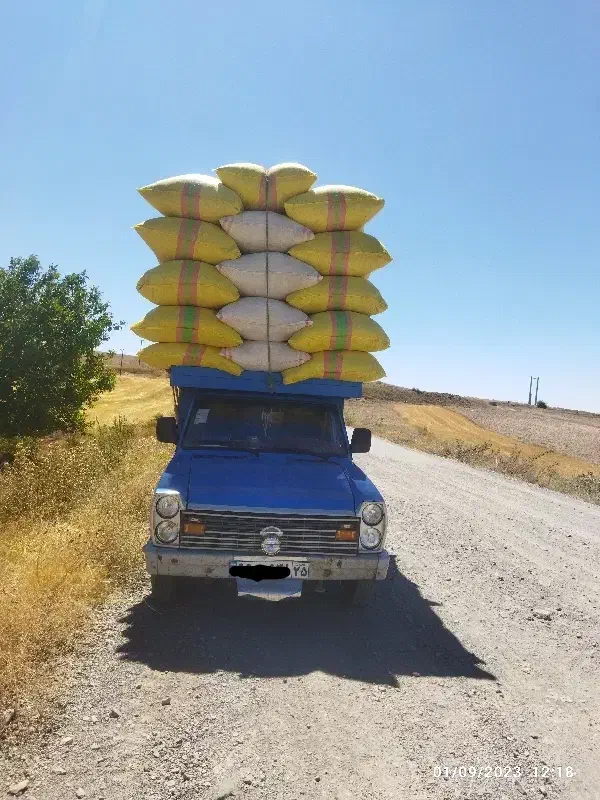 خرید و فروش کاه گندم و عدس|لوازم جانبی حیوانات|خلخال, |دیوار