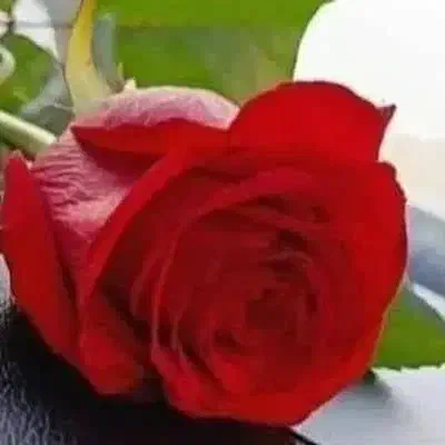 فیش حج|تور و چارتر|تهران, یاخجی آباد|دیوار