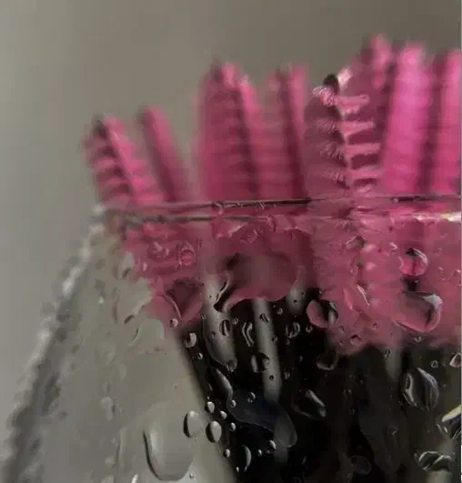 خدمات اکستنشن و لیفت و لمینت مژه|خدمات آرایشگری و زیبایی|شیراز, پودنک|دیوار