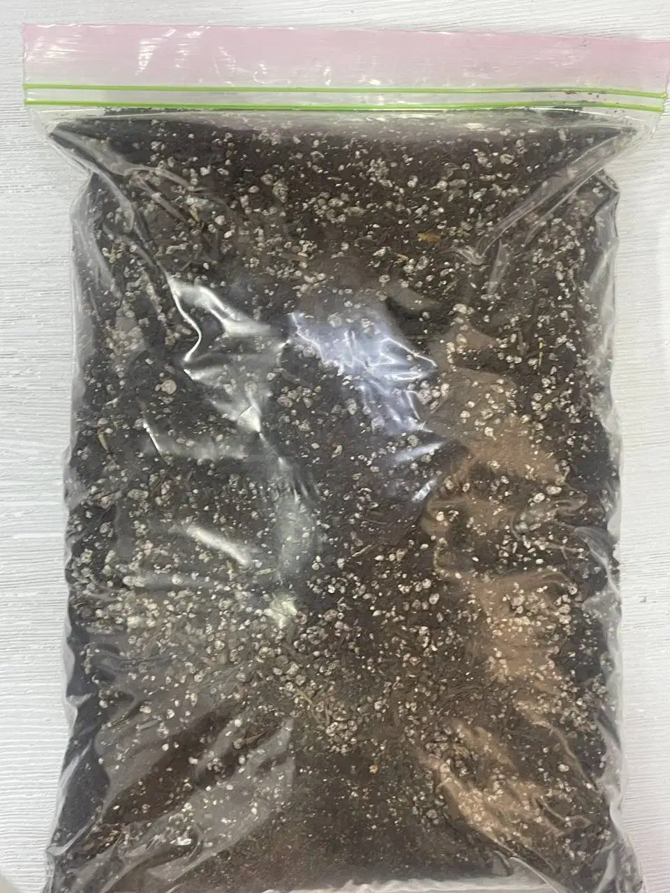 خاک تفاله قهوه گلدان|گل و گیاه طبیعی|مشهد, کوشش|دیوار