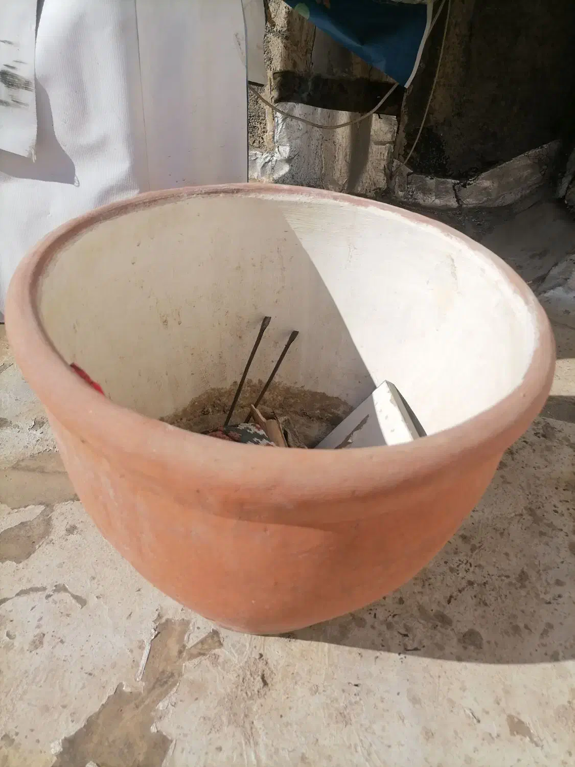 گلدان بزرگ سفالی|گل و گیاه طبیعی|بیرجند, |دیوار