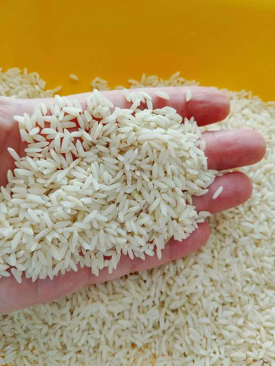 برنج|خوردنی و آشامیدنی|کرج, کوی کارمندان جنوبی|دیوار