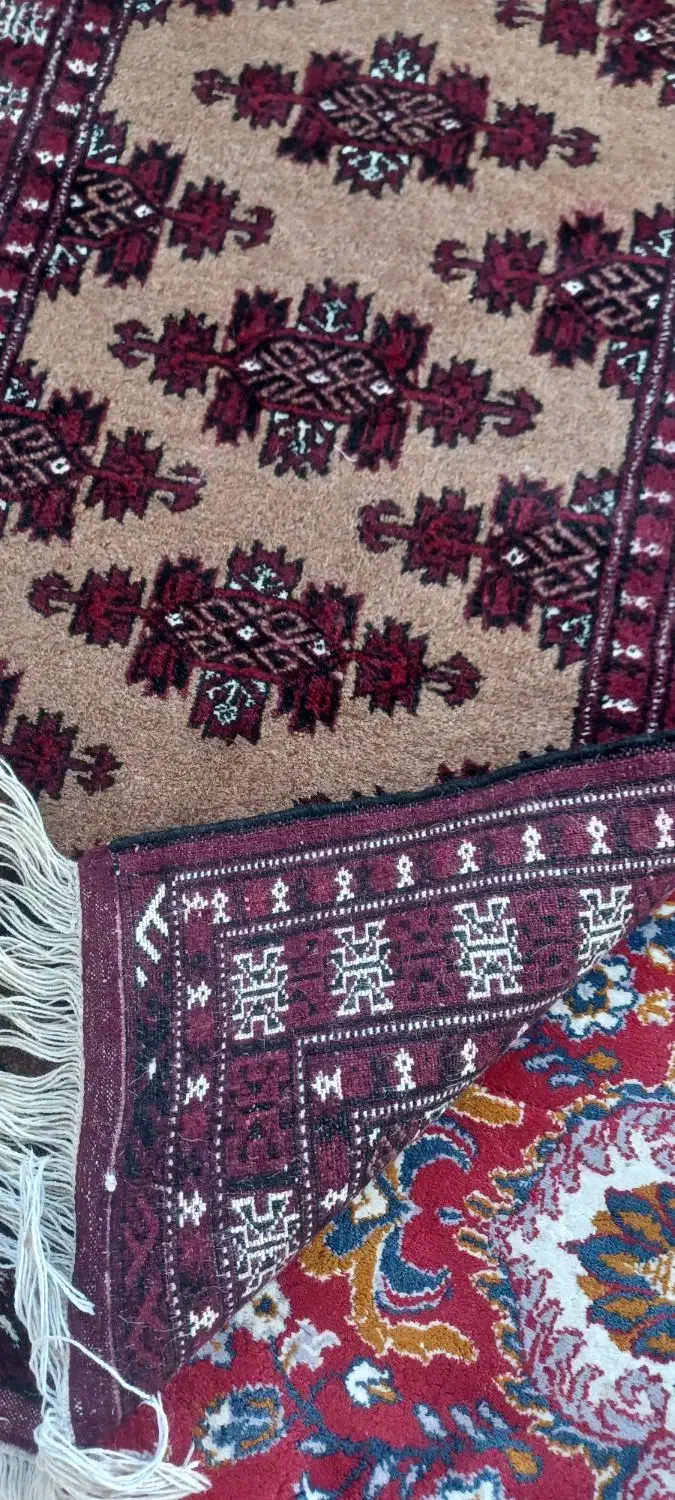 قالیچه دستباف|فرش|بندر ترکمن, |دیوار
