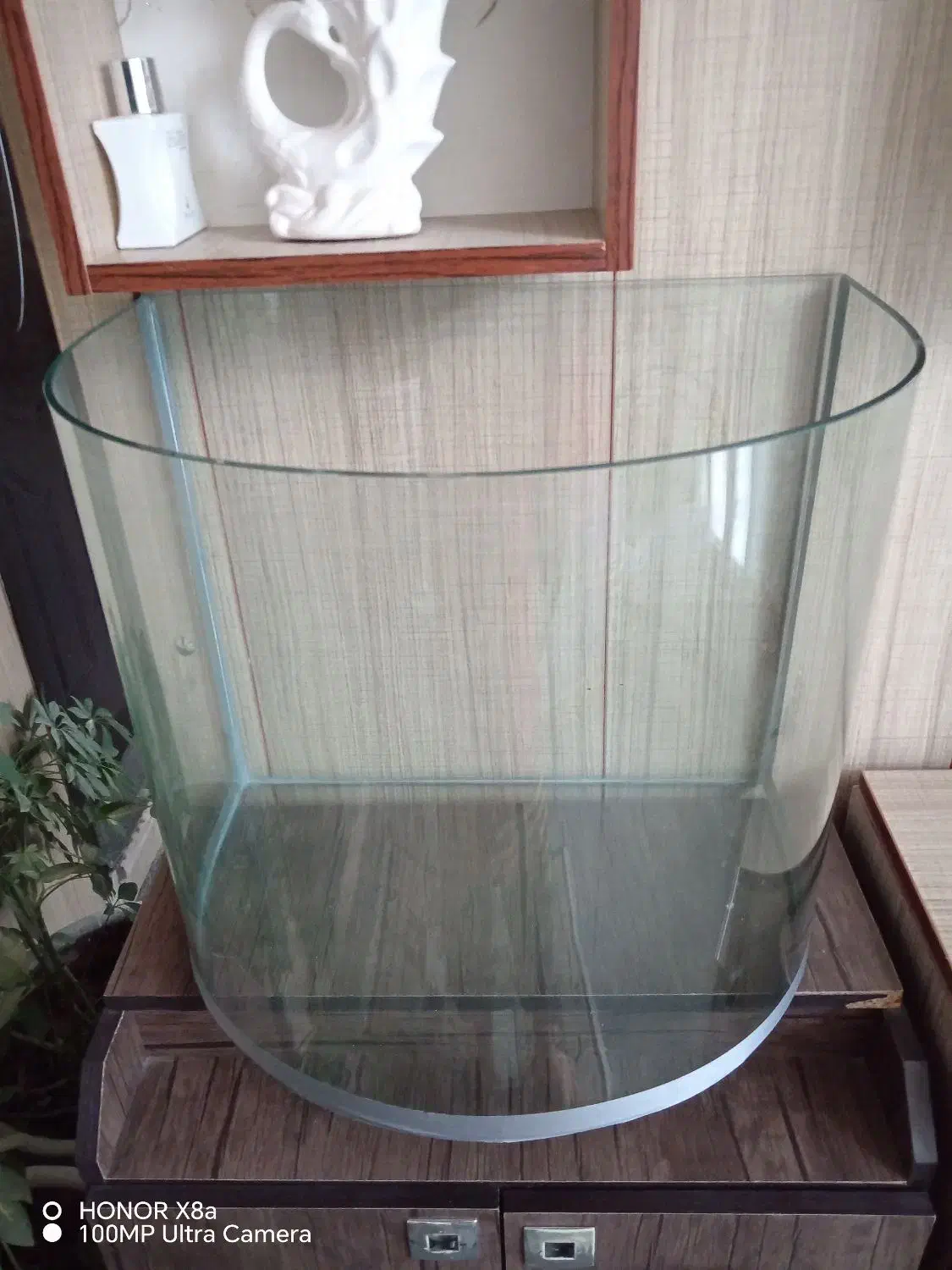 آکواریوم نیم دایره|ماهی|کازرون, |دیوار