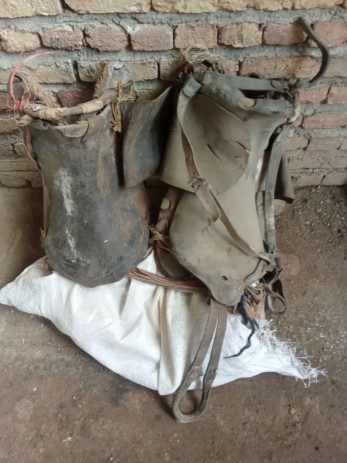 زین اسب|اسب و تجهیزات اسب‌سواری|سلماس, |دیوار