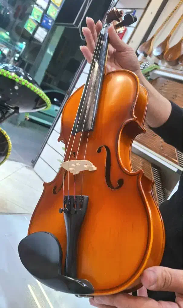 +++ ویولن +|ویولن|تهران, نازیآباد|دیوار