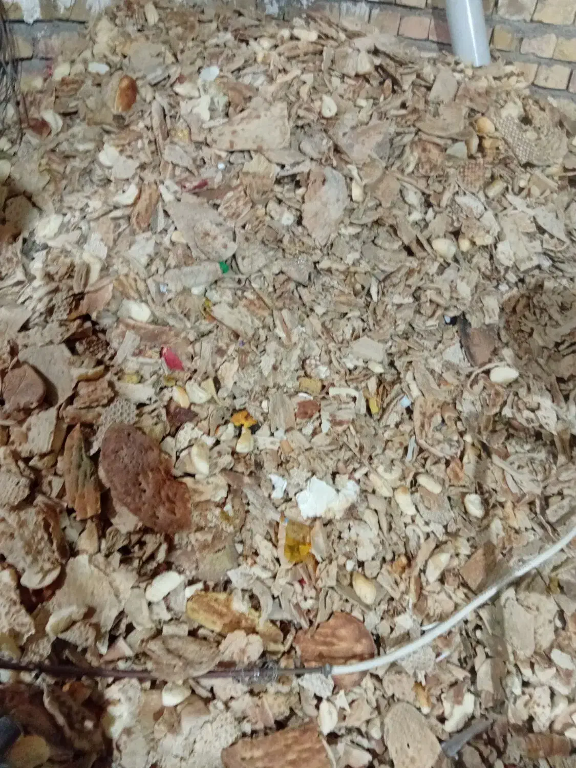 نان خشک|خوردنی و آشامیدنی|تربت جام, شهرک معلم|دیوار