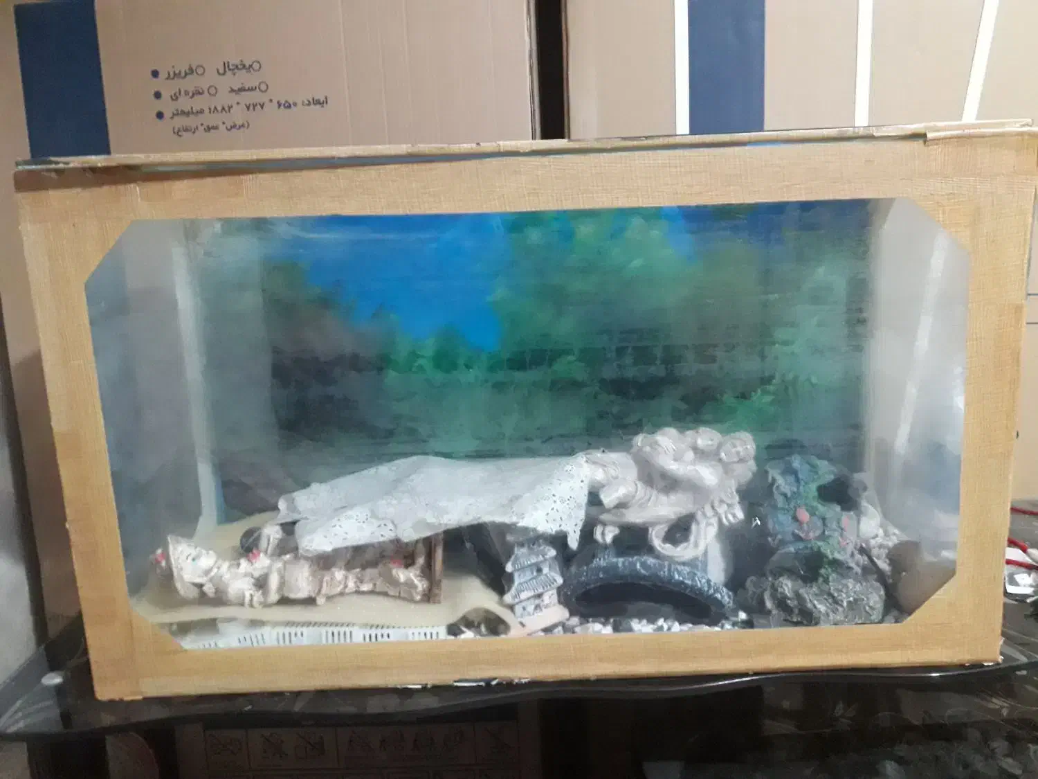 آکواریوم|ماهی|خرم‌آباد, |دیوار