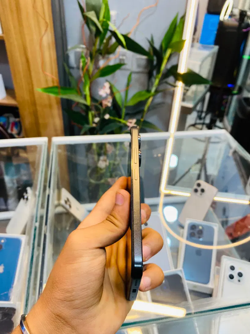 Poco M6 256g ram8|موبایل|مشهد, گلشور|دیوار