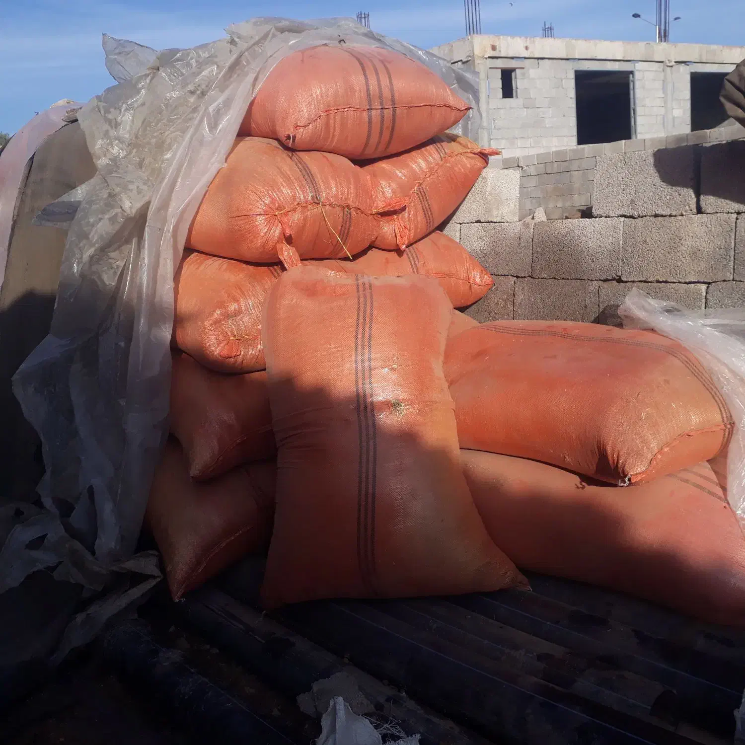 ۳۰عدد شلیف کاه ماش|لوازم جانبی حیوانات|گتوند, |دیوار