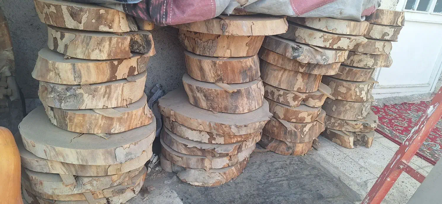 اسلپ|کتابخانه، شلف، قفسه‌های دیواری|مشهد, ابوذر|دیوار