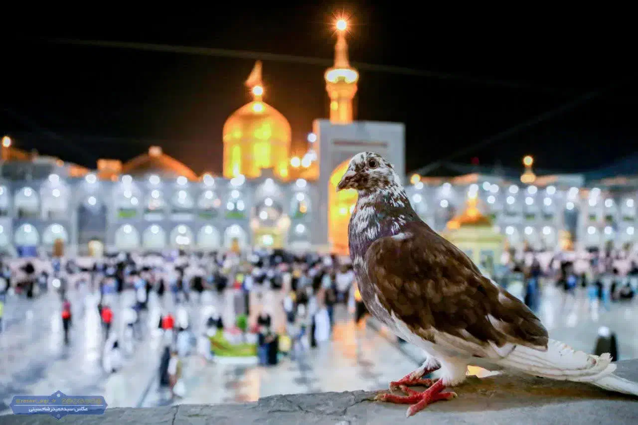 تور مشهد  قطار آبان ماه|تور و چارتر|کرمان, |دیوار