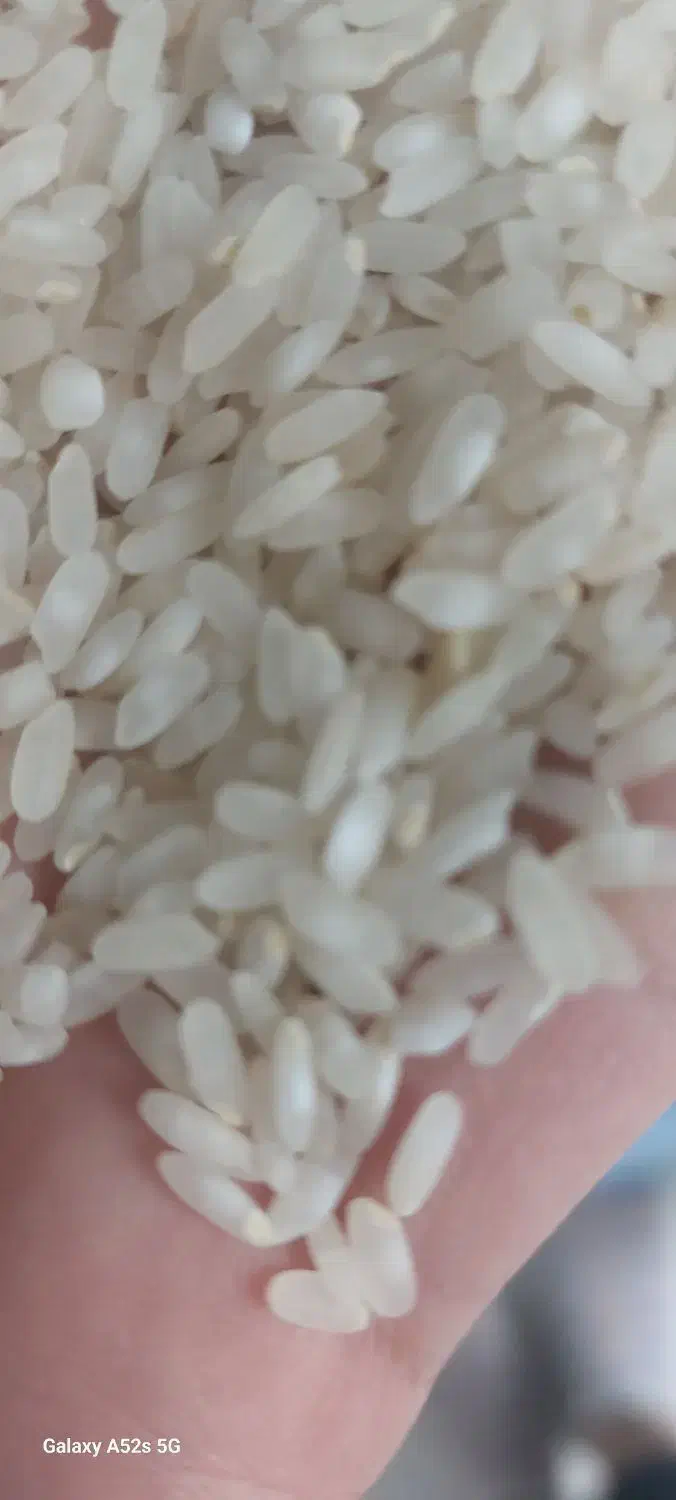 برنج کامفیروزی اصل|عمدهفروشی|کر, |دیوار