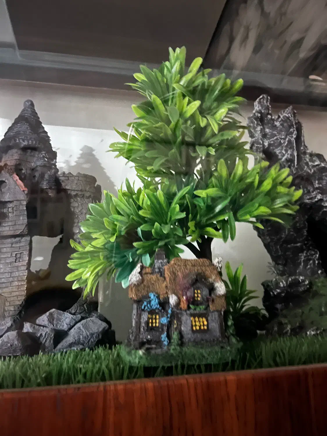 فروش آکواریوم چوبی کاملا نو با وسایل داخلش|ماهی|تهران, قصر فیروزه ۲|دیوار