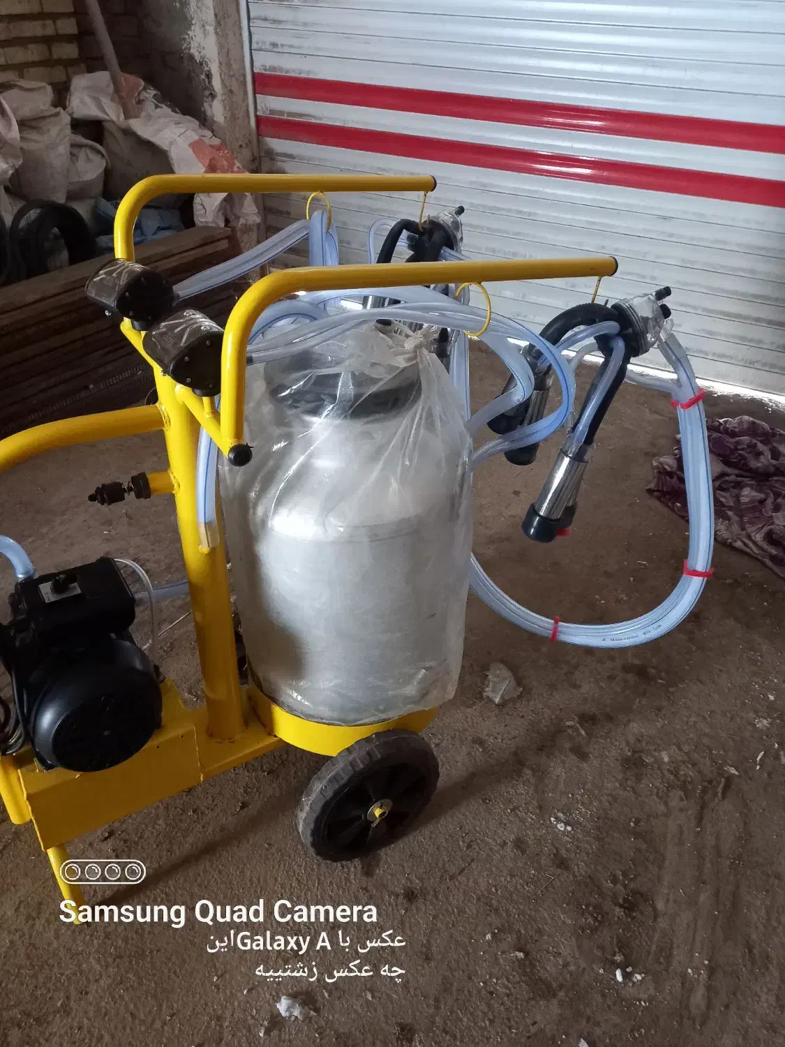 شیر دوش|لوازم جانبی حیوانات|مهربان, |دیوار