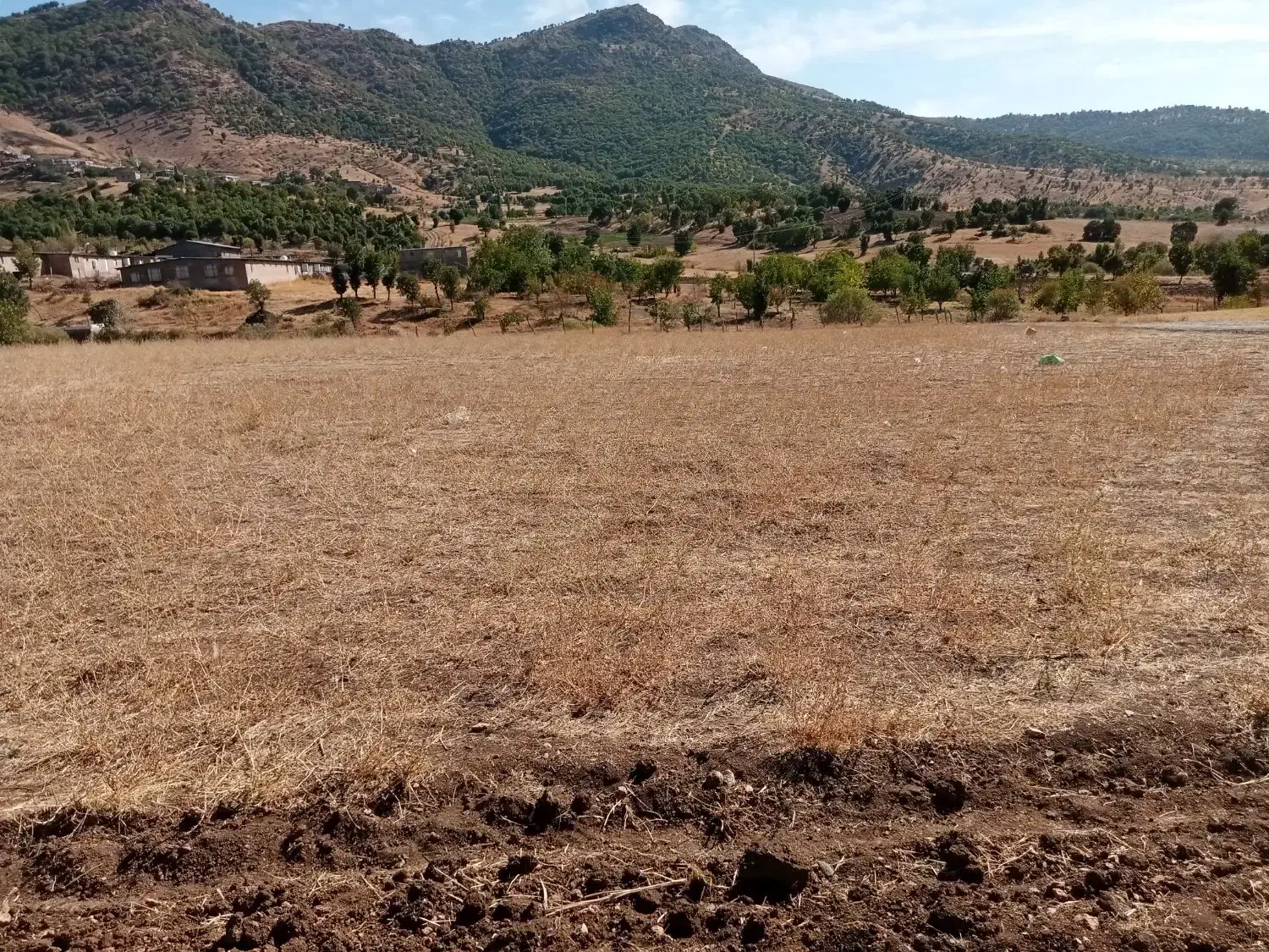 فروشی زمین خام|فروش زمین و ملک کلنگی|بانه, |دیوار