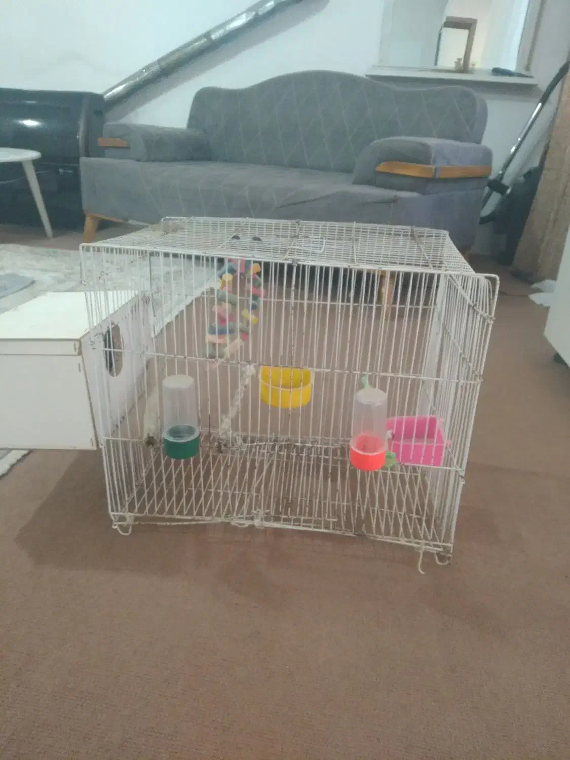 قفس پرنده بزرگ با لونه اش ۳۰۰همش باهم|لوازم جانبی حیوانات|مشهد, انقلاب|دیوار