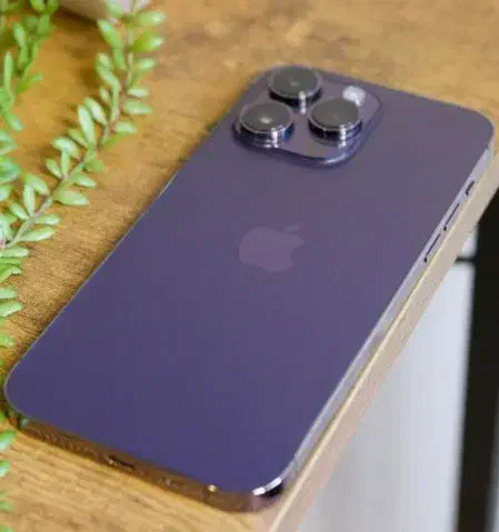 ایفون۱۴پرومکس|موبایل|کرج, عظیمیه|دیوار