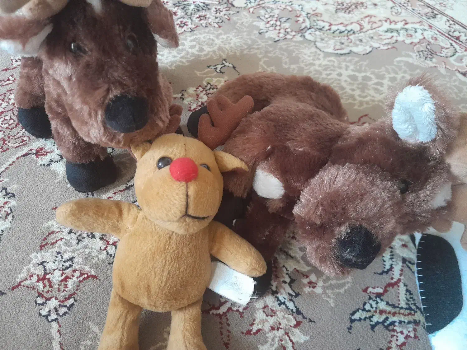 عروسک های اسباب بازی|اسباببازی بچه|ری, دولتآباد|دیوار