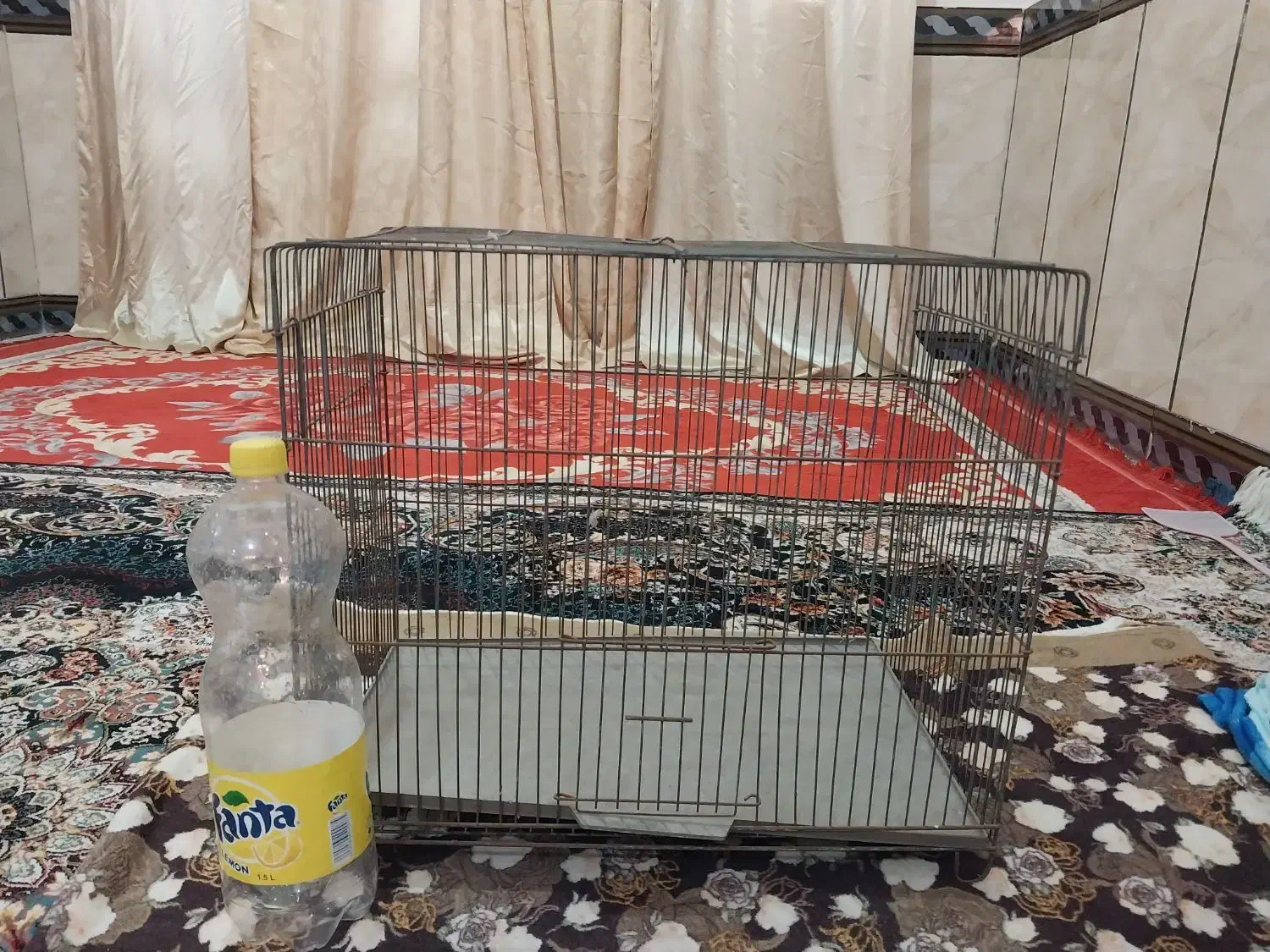 قفس پرنده|لوازم جانبی حیوانات|خرمشهر, |دیوار