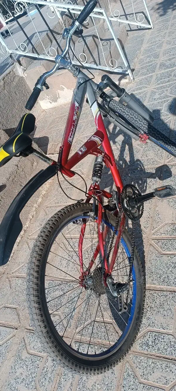 دوچرخه|دوچرخه، اسکیت، اسکوتر|کاشمر, |دیوار