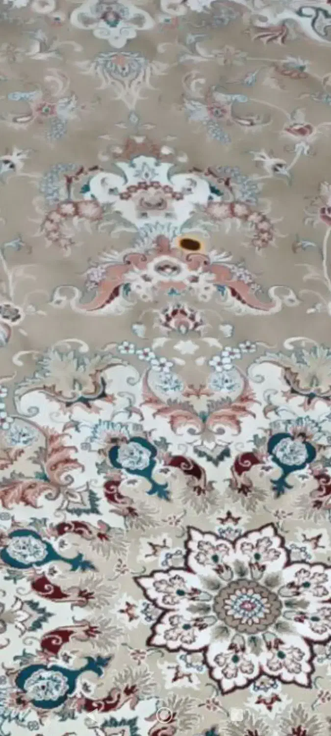 فرش 500شانه و یه عدد کناره|فرش|مشهد, شهید معقول|دیوار