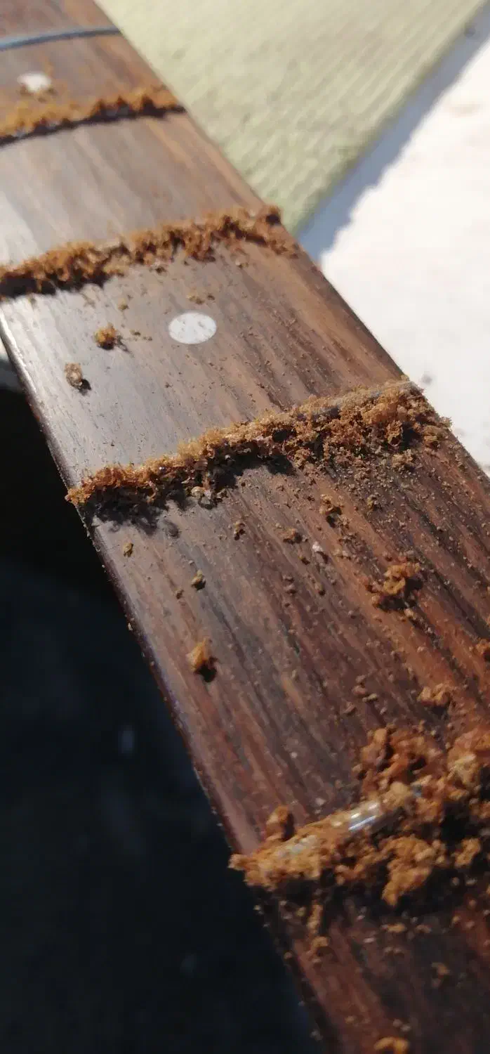 خدمات فنی در زمینه ساخت و تعمیر الات موسیقی|گیتار، بیس، امپلیفایر|تهران, سازمان آب|دیوار