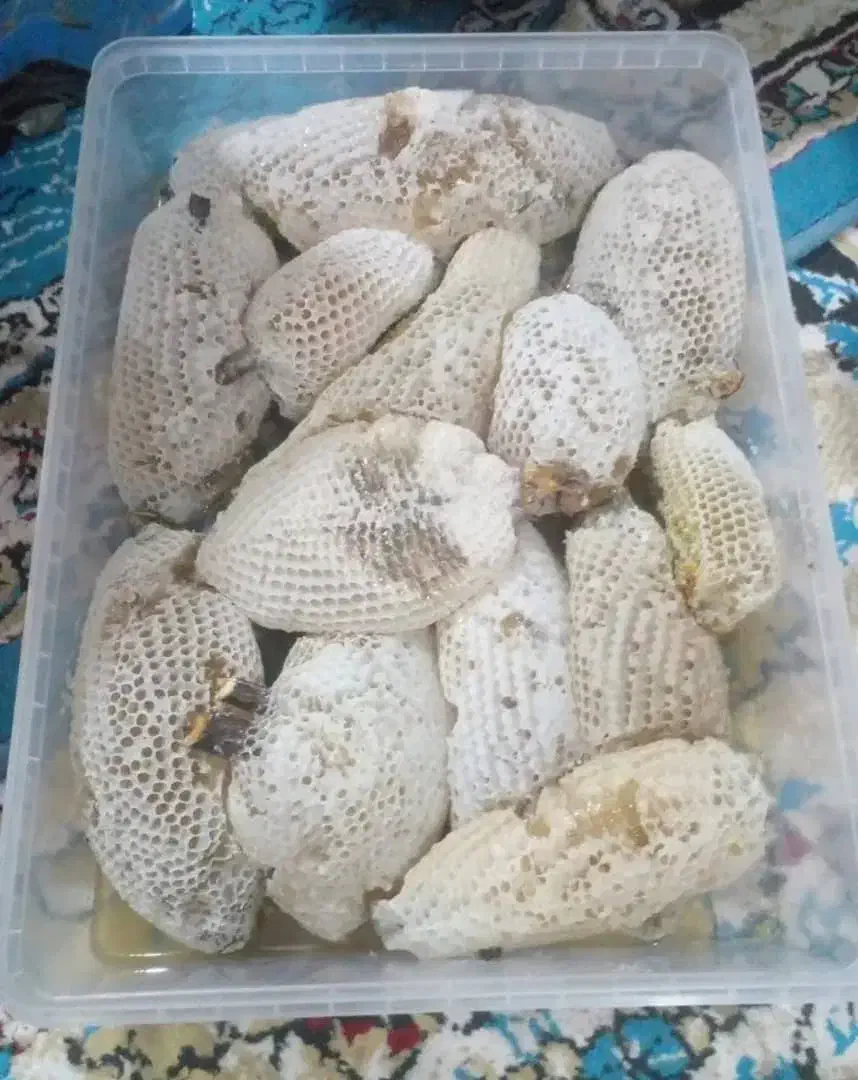 عسل طبیعی|خوردنی و آشامیدنی|مسجد سلیمان, |دیوار