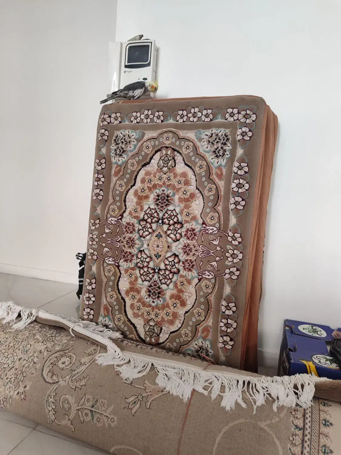 پشتی یک جفت ۳۰۰|پشتی|تهران, پرستار|دیوار